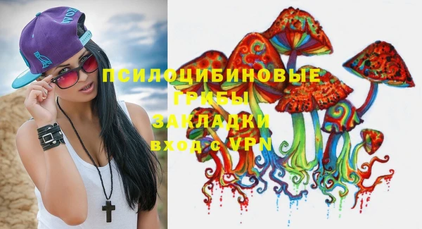 молекула духа Армянск