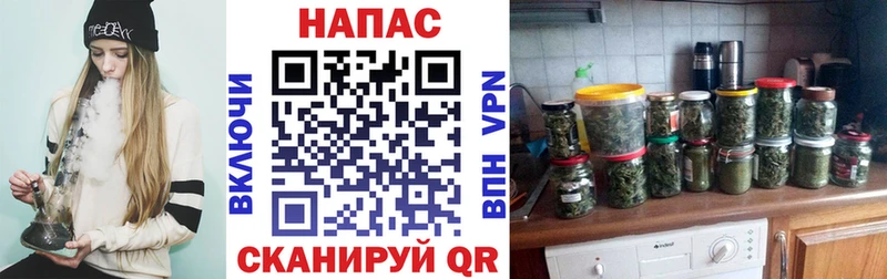 где купить Рыбное Канабис ГИДРОПОН